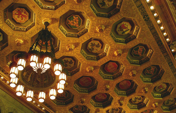 expensive parliamentarian ceilings
