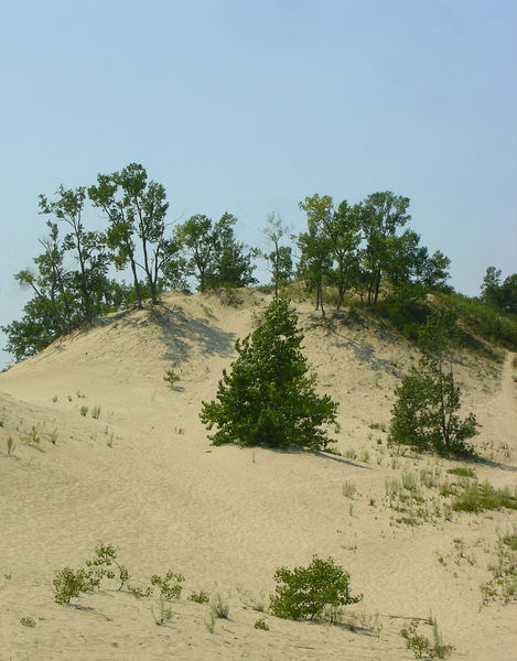 Canadian sand dunes