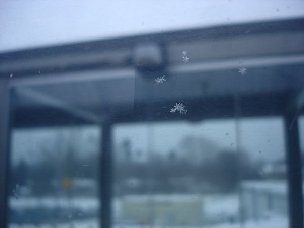 snowflakes on the bus