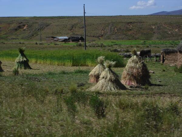 the Bolivian countryside