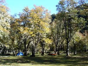the campsite