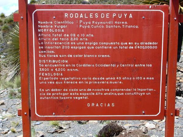 visitor information (español only, sorry)