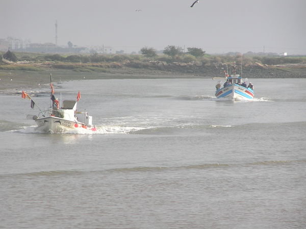 Tavira fishermen with early catch