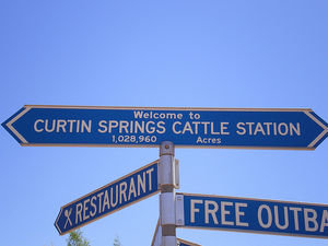 The cattle station camel farm