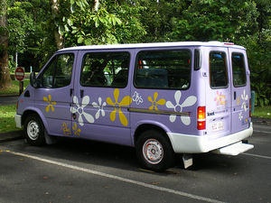Our flower power van