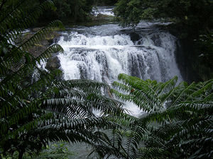 Wallacha falls