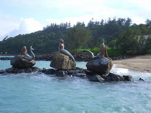 Mermaids at daydream resort in the Whitsundays