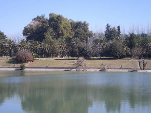 Lake in central park 