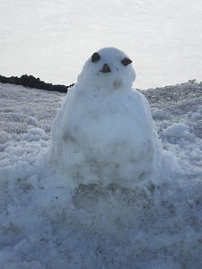 Our border snowman