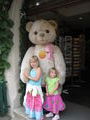 Steif Teddy bear shop
