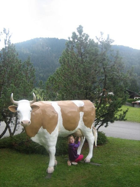 Milk that cow, Bella!