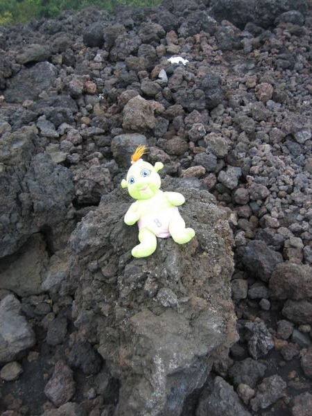 Baby Shrek on Mt. Etna