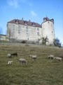chateau Gruyeres