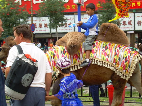 A Random Camel at the Bazaar