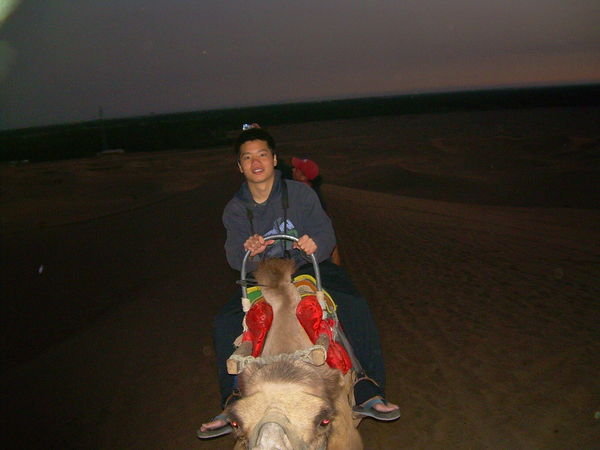 Riding Camels Before Sunrise