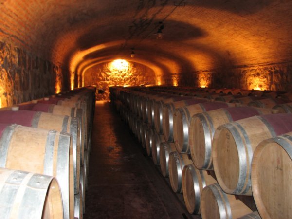 Cellar at Alta Vista