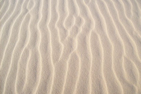 Sand Patterns on a Dune Surfice