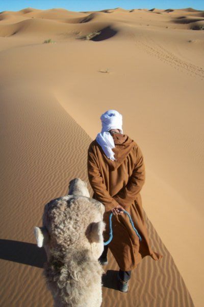 My Dazzling Camel Ride