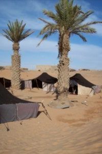 Jaimas - Desert Tents