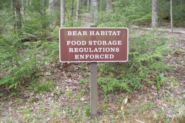 I'm Secretely Looking Fwd to a Bear's Encounter