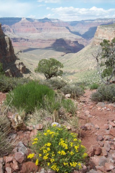 Spring in the Greatest of the Canyons