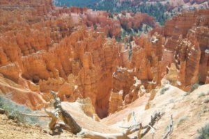 Orange Pinnacles Decorate a Delicate, Awesome Canyon