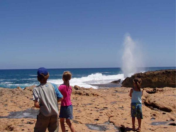 Blow Holes at Point Quobba