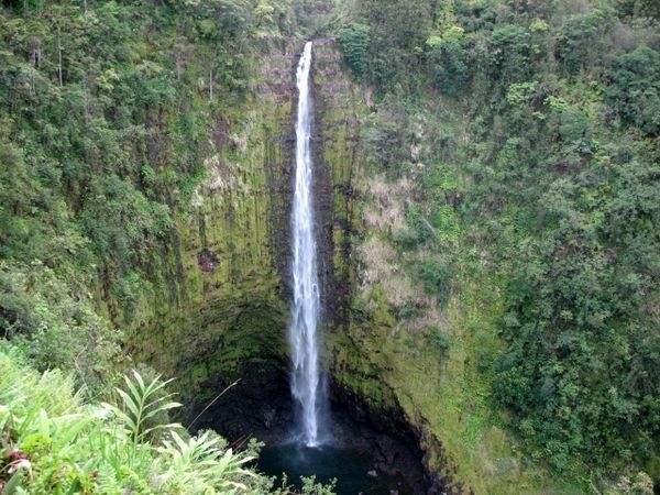 Akaka Falls near Hilo in the Big Island