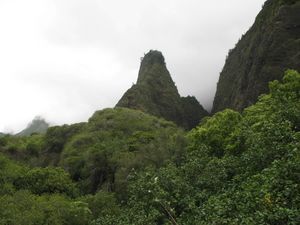 Lao Needle in Maui