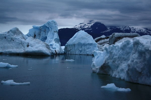 massive icebergs