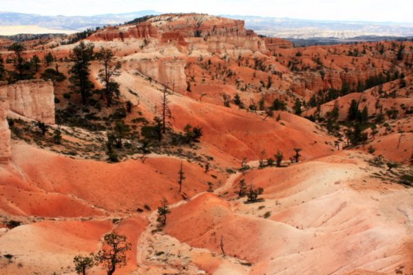Beautiful landscape of red rocks