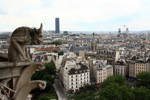 a Gargoyle at Notre Dame