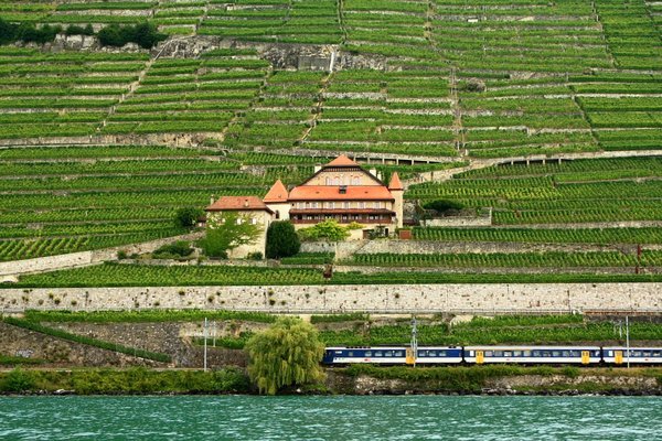 a train passing by a lake side house