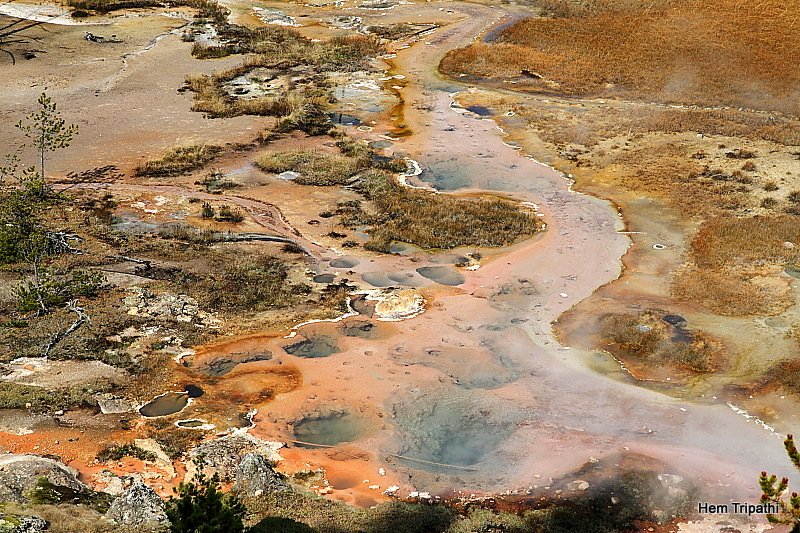 colors at Norris geyser area