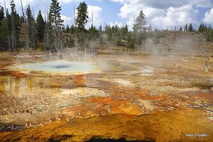 colors of Yellowstone