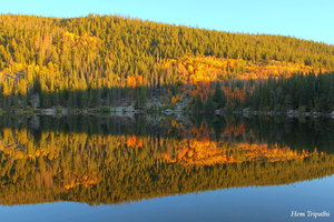 Bear Lake reflections