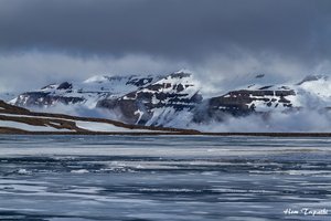 floating ice near Seydisfjordur