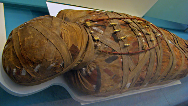 king tut mummy wrapped