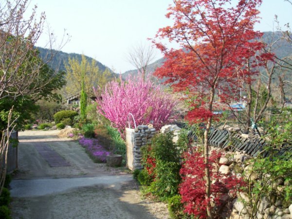Spring in Village