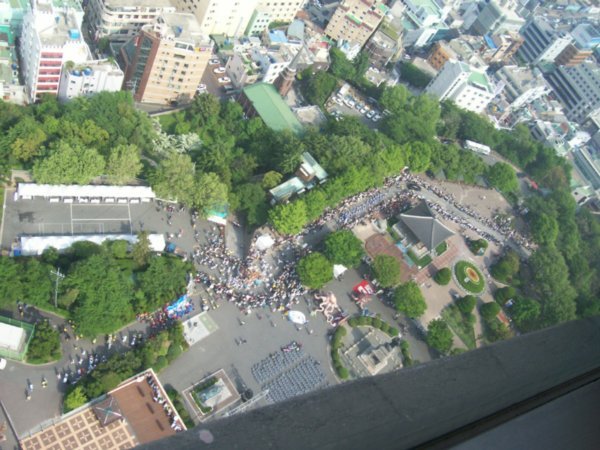from top of Busan Tower