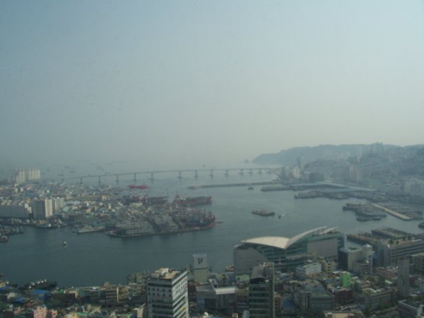 from top of Busan Tower