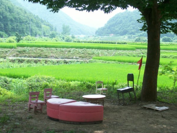 Farmer rest area near school