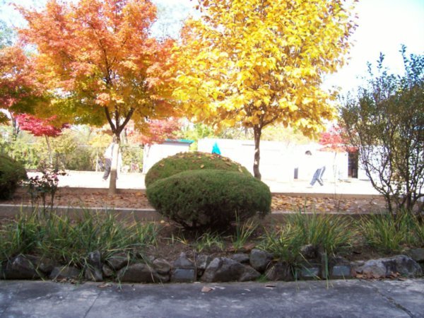 Autumn at other school