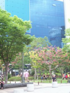 Daegu city park