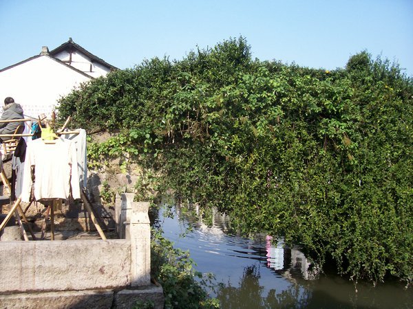 Shaoxing old area