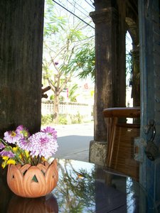 veiw from verandah