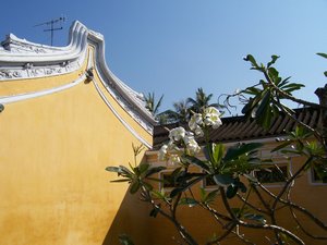 'frangipani' temple