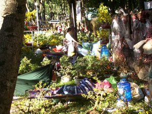 plant sellers sleep in park