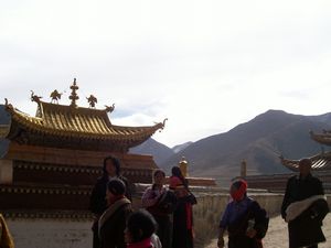 curious tibetians