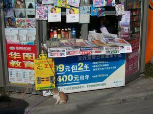 newspaper stand with 